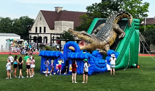 crocodile-double-slide