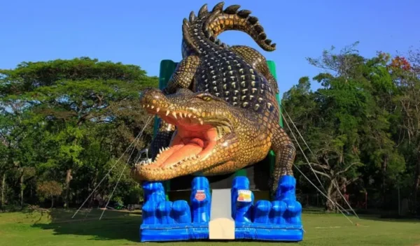 King Croc Wet/Dry Slide - Image 7