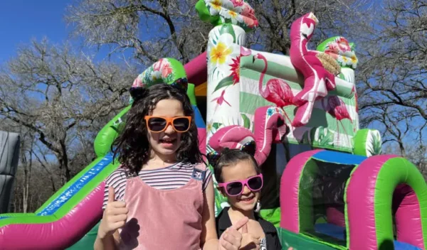 Flamingo Bounce House Combo w/ (Dry or Wet/Water Slide) - Image 2