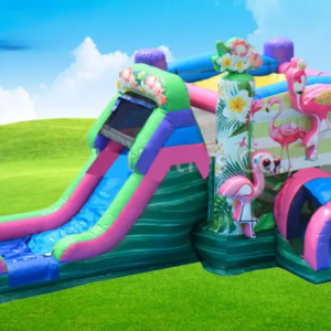 Flamingo Bounce House Combo w/ (Dry or Wet/Water Slide)