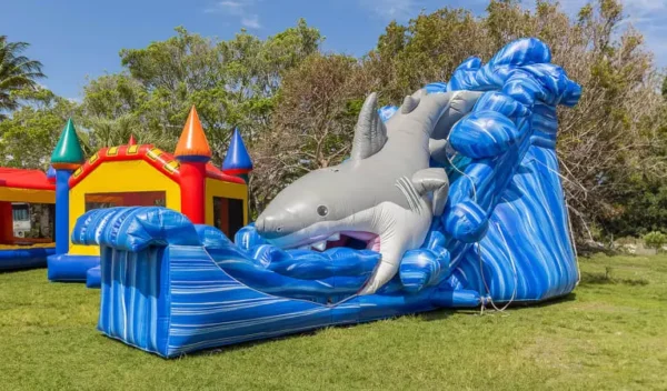 Gone Fish’n Shark Wet/Dry Slide - Image 3