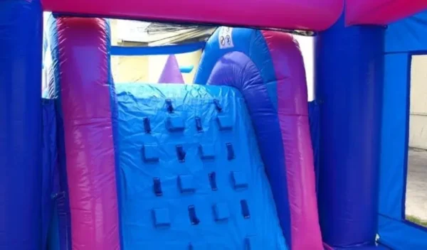 Mega Pink Bounce House Combo w/ (Dry or Wet/Water Slide) - Image 5