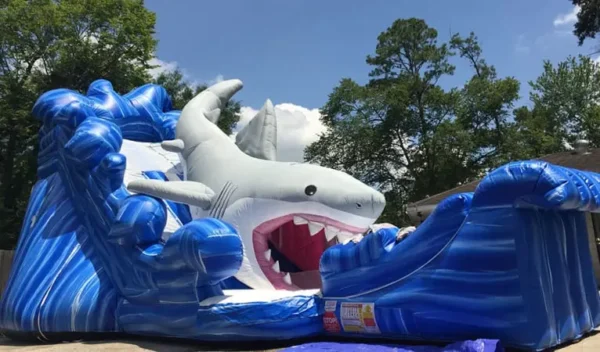Gone Fish’n Shark Wet/Dry Slide - Image 4