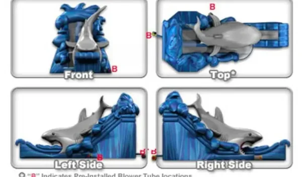 Gone Fish’n Shark Wet/Dry Slide - Image 6