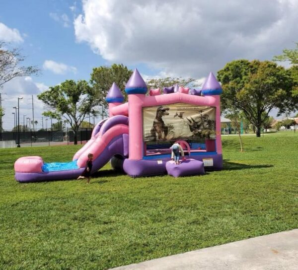 Dinosaur bounce house/slide