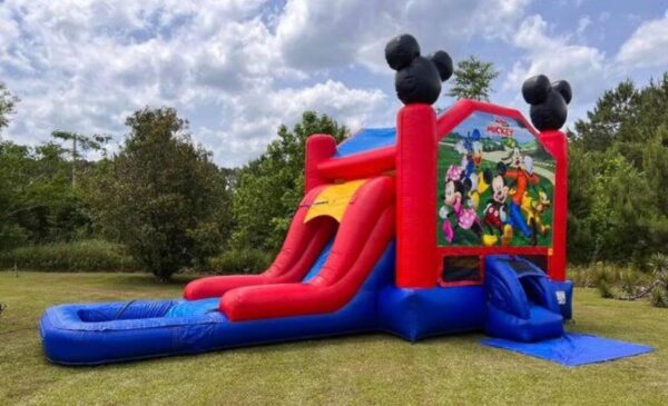 Mickey mouse combo slide